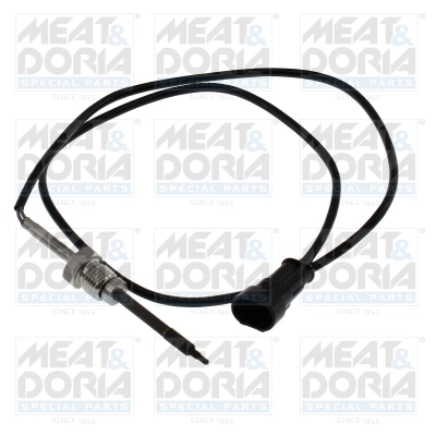 Sensor, exhaust gas temperature